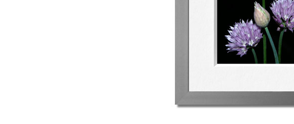 Poster Kunstdrucke Reproduktionen Großformat Plakate Fotoposter Fotografie Familie